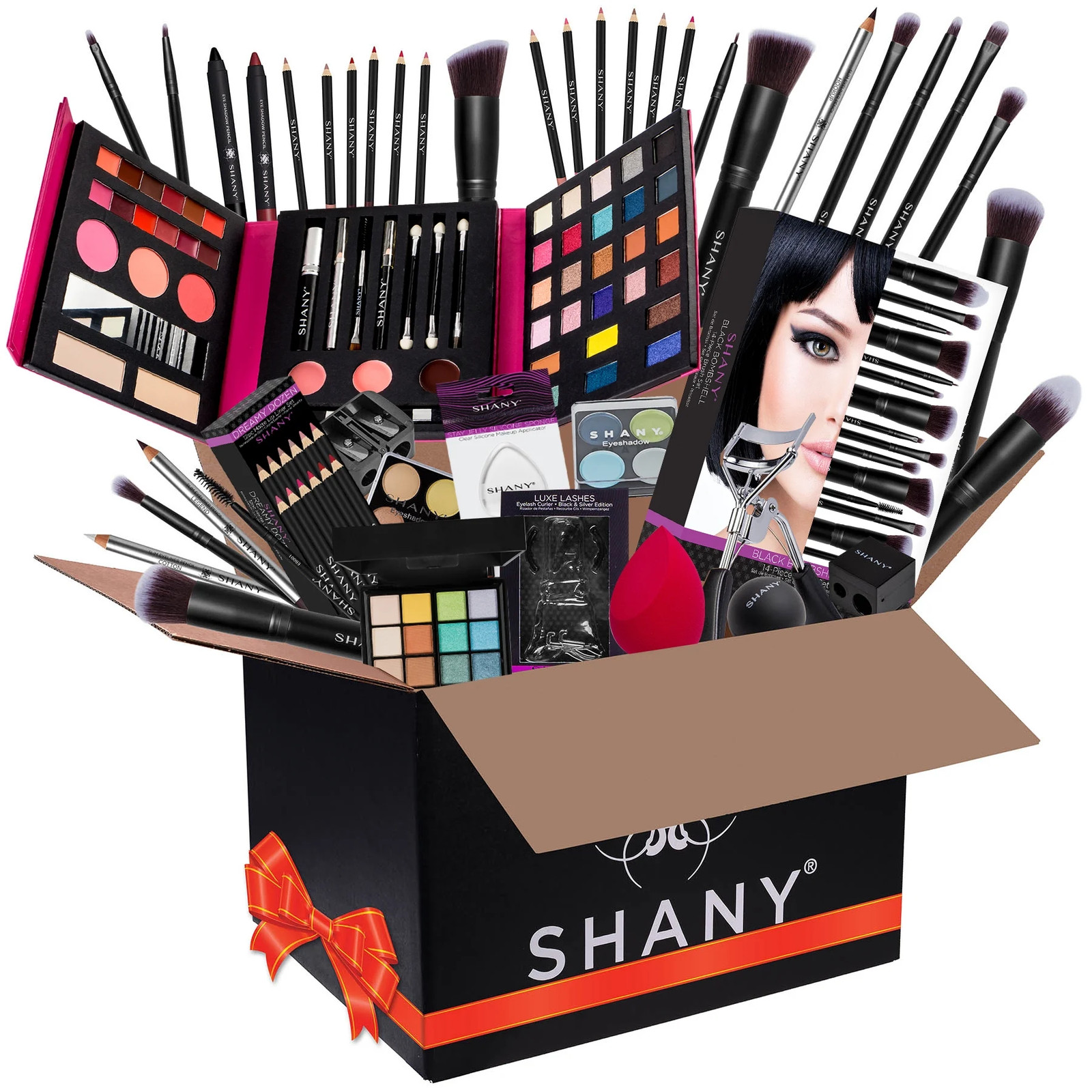 SHANY All in One Makeup Kit Set Brushes Eyeshadow Lip Gloss Gift Box
