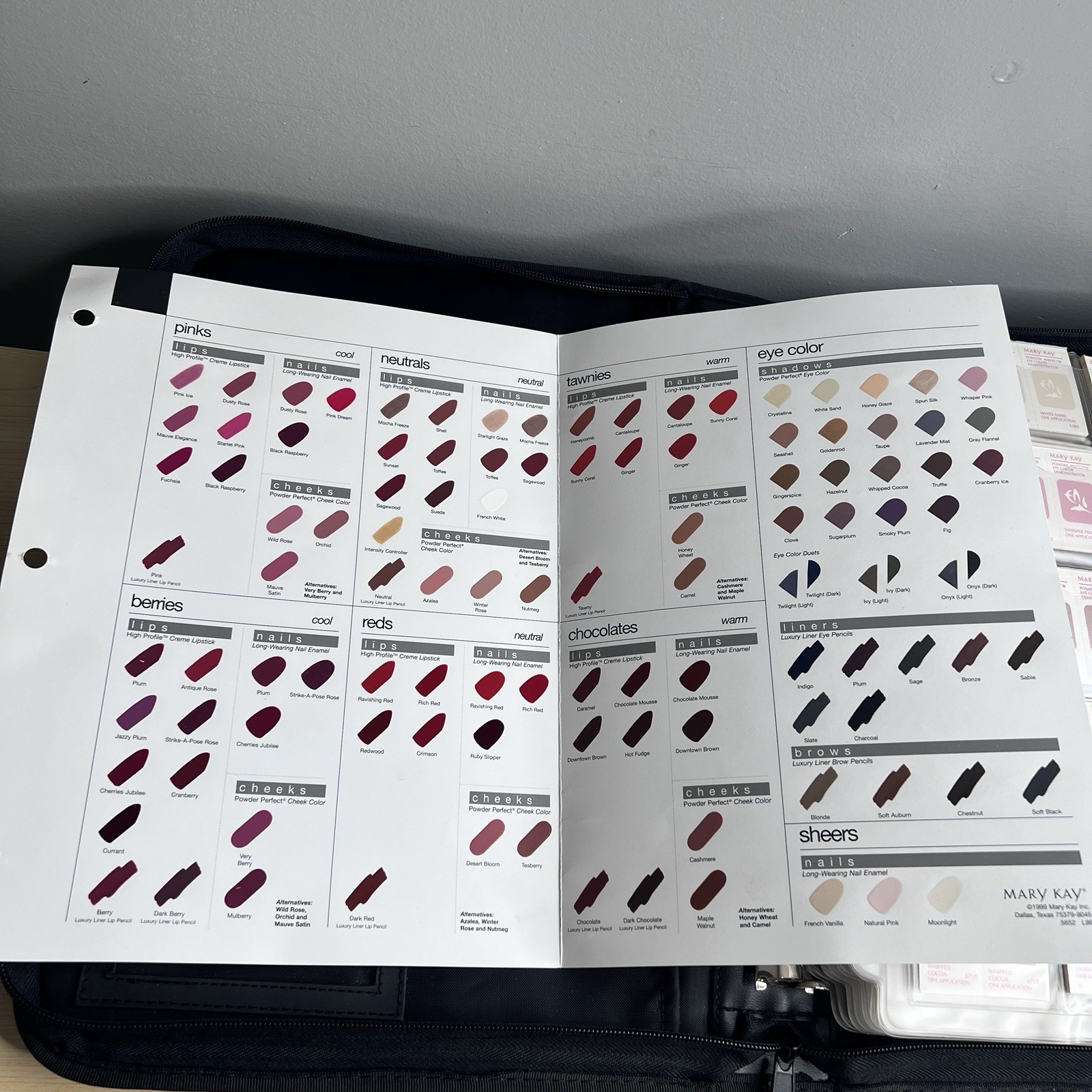 Mary Kay Samples-Foundation, Eye Colors, Cheek Colors, Lipstick in Zipper Binder