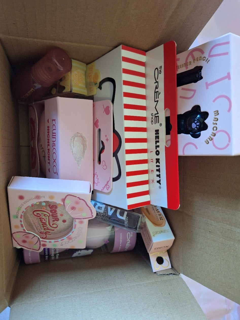 Makeup Bundle Hello Kitty Kevin&Coco Lashes Eyeliner Lip Oil Concealer Mascara +