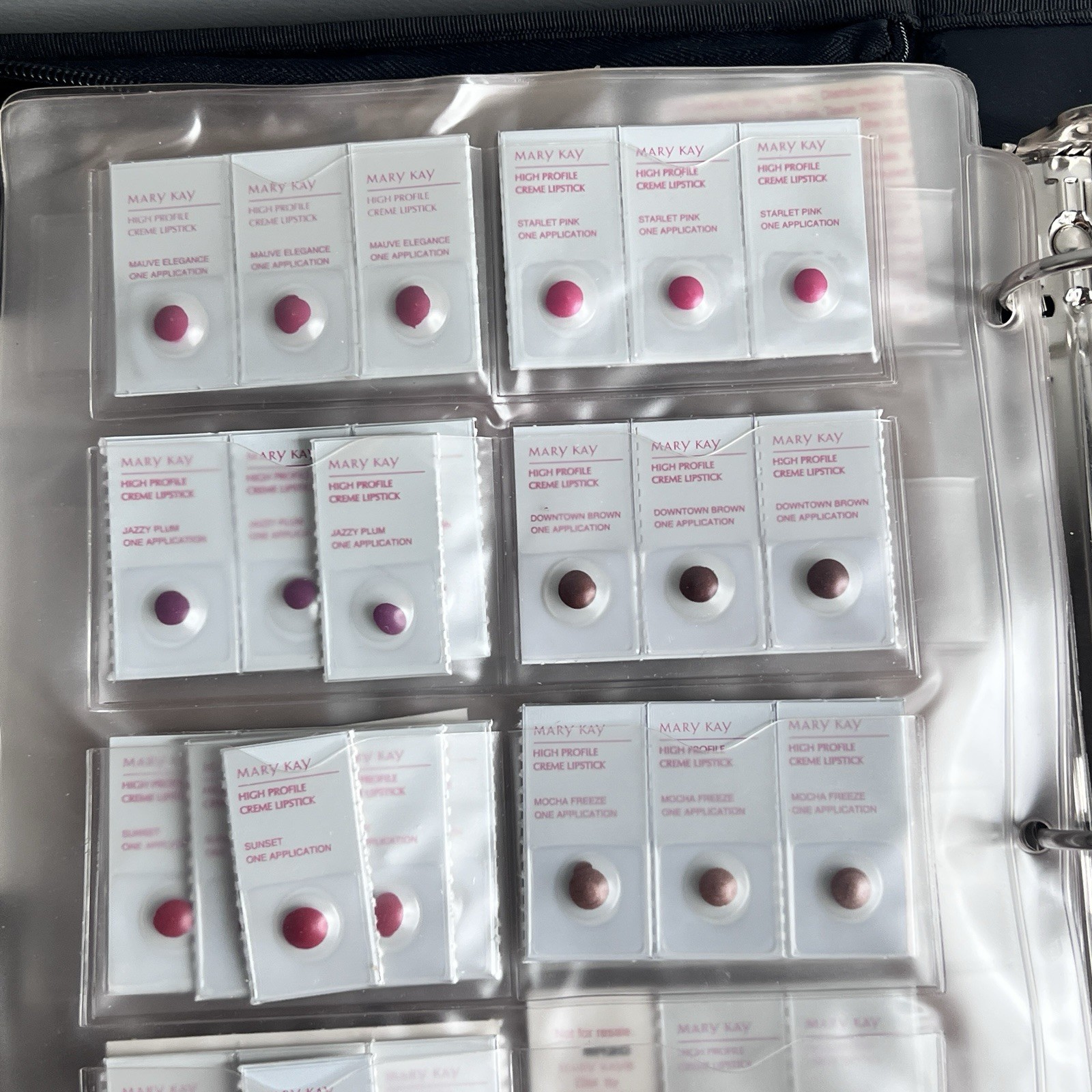 Mary Kay Samples-Foundation, Eye Colors, Cheek Colors, Lipstick in Zipper Binder