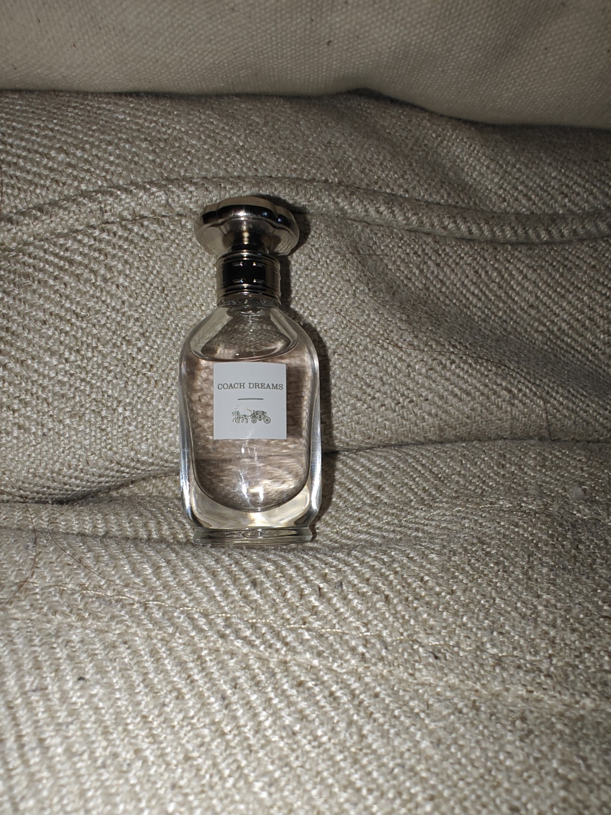 *You Pick* Valentino, YSL, Givenchy Lip with either Coach or Jimmy Choo Purfume