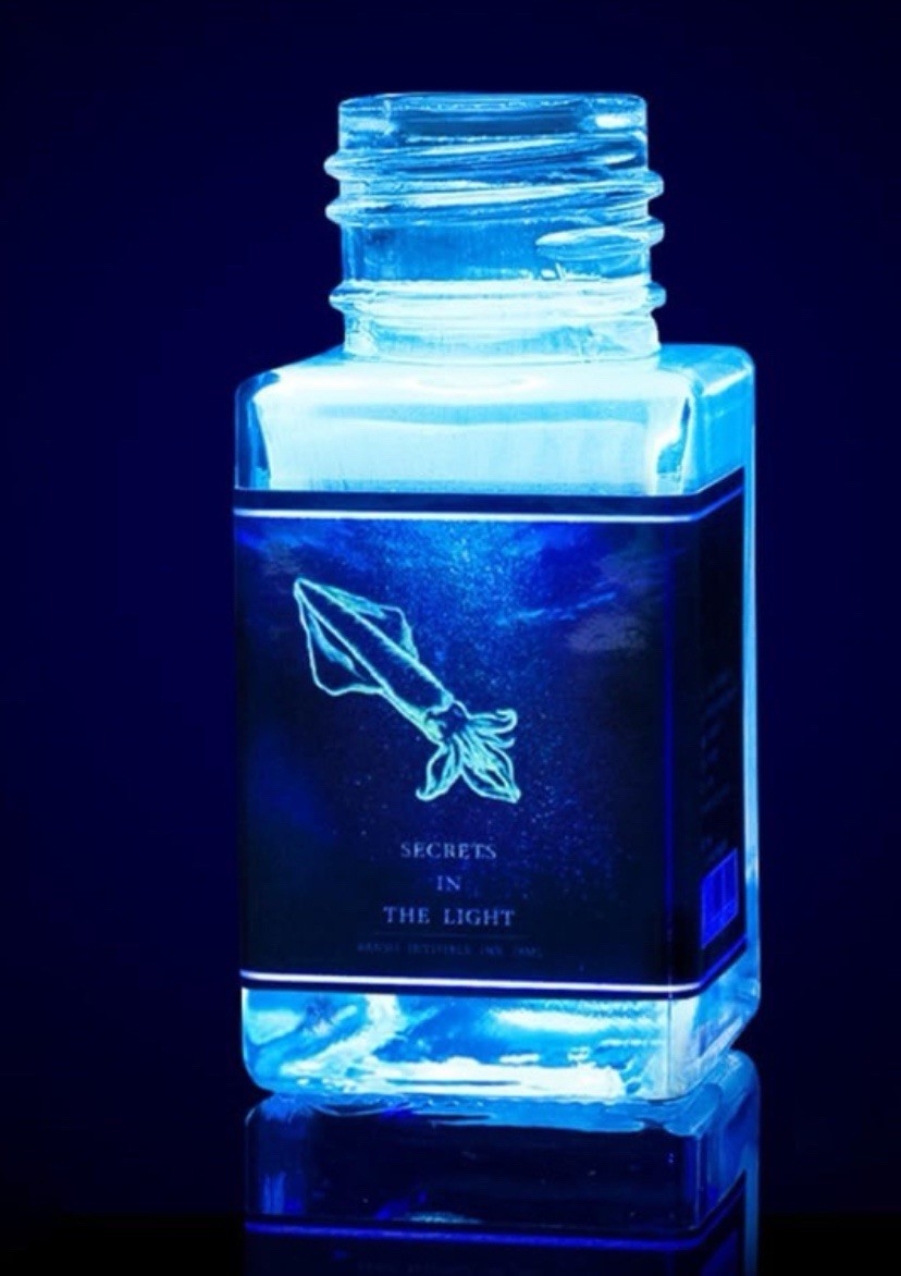 18ml “Secrets in the Light” invisible ink that glows brilliantly under UV light