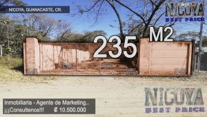 lote-235-Caimito