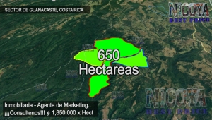 Finca ganadera