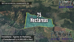 finca 75 hect